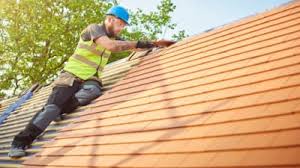 Best Roof Moss and Algae Removal  in Monticello, FL