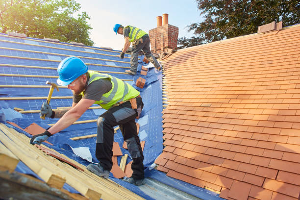 Best Chimney Flashing Repair  in Monticello, FL